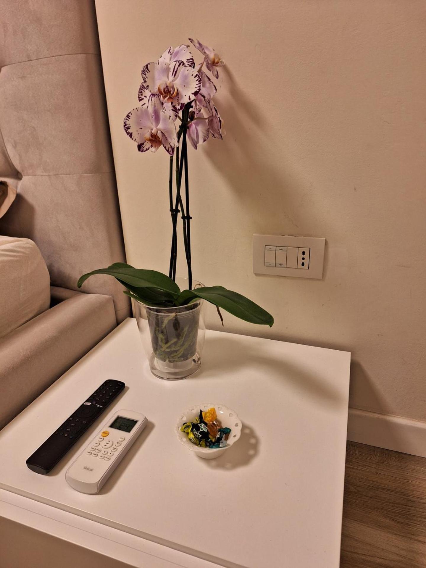 Il Colibri Apartment Alghero Ngoại thất bức ảnh